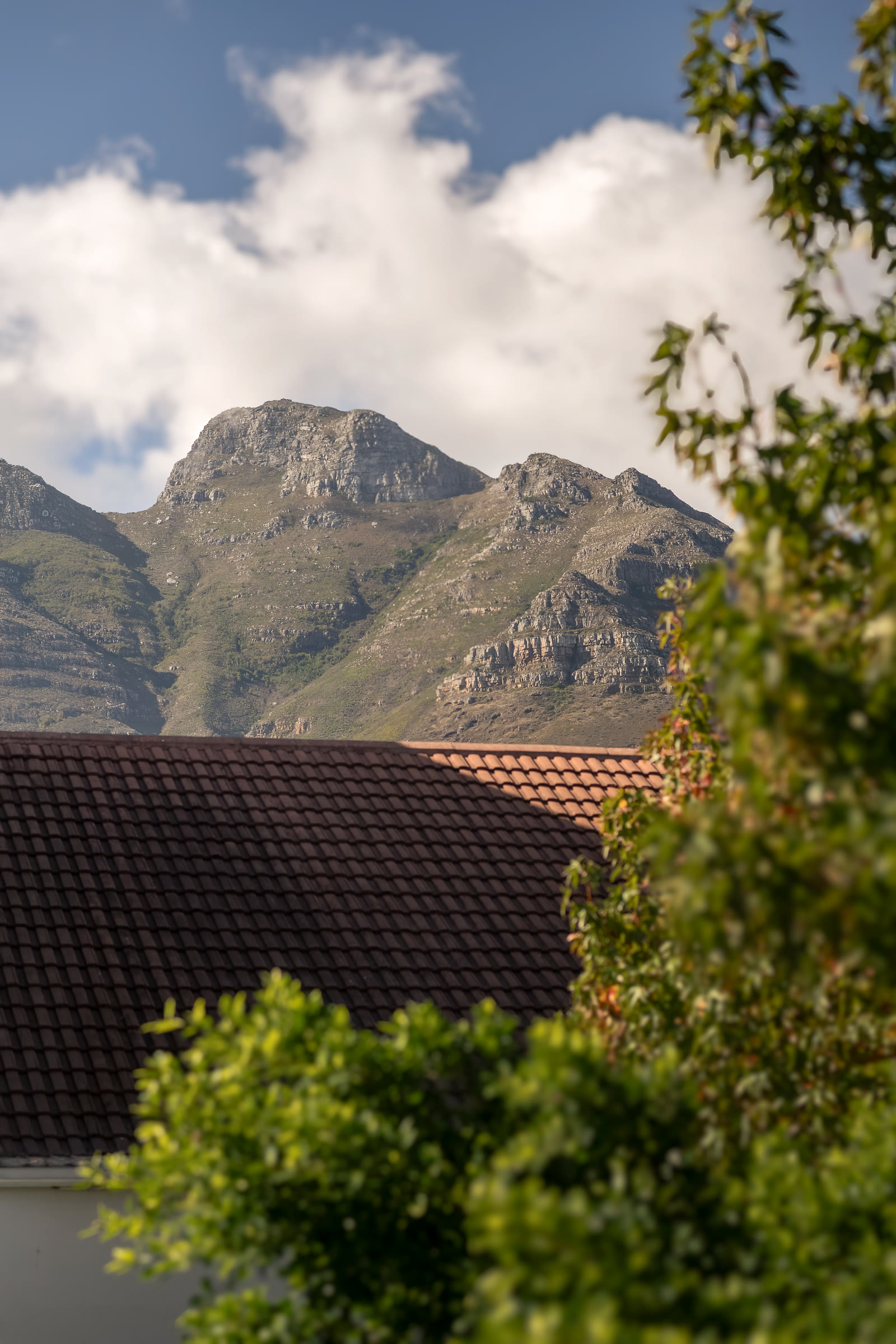 Cape Town and Table Mountain seen from Gardens